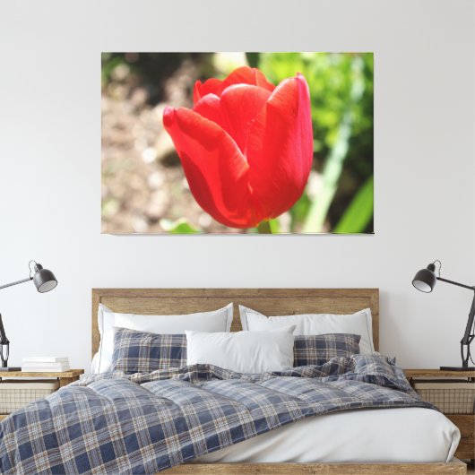 Briljante rode tulp canvas afdruk (Insitu (Slaapkamer))