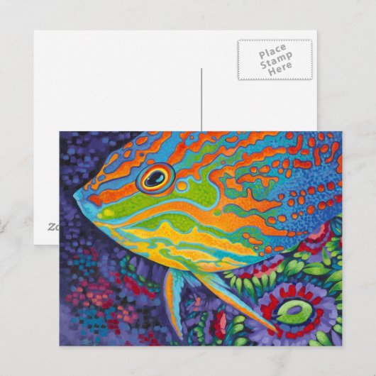 Briljante tropische vissen I Briefkaart (Voorkant / Achterkant)