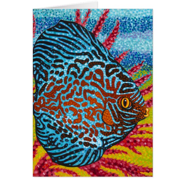 Briljante tropische vissen II (Voorkant)