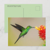 Briljante vogel voer uit een bloem briefkaart (Voorkant / Achterkant)