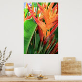 Briljantende Heliconia Poster (Keuken)