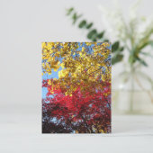 Briljantherfst Trees Briefkaart (Staand voorkant)