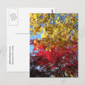 Briljantherfst Trees Briefkaart (Voorkant / Achterkant)