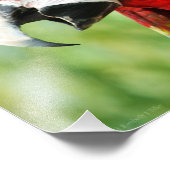 Briljantrood Foto Afdruk (Hoek)