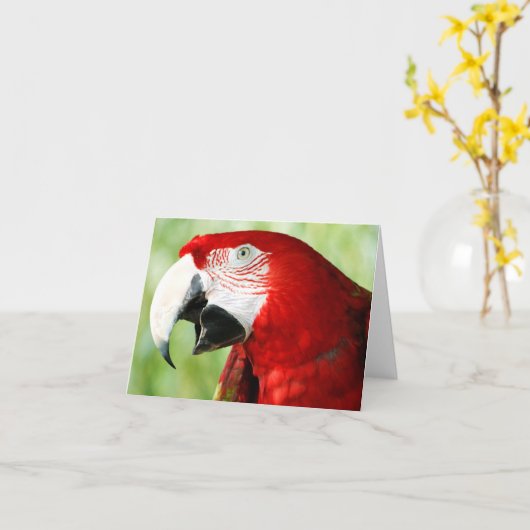 Briljantrood Kaart (Gele Bloem)