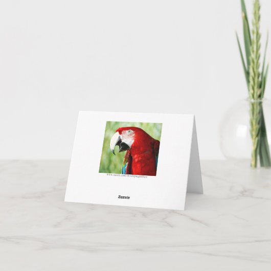 Briljantrood Kaart (Achterkant)