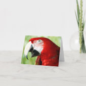 Briljantrood Kaart (Voorkant)