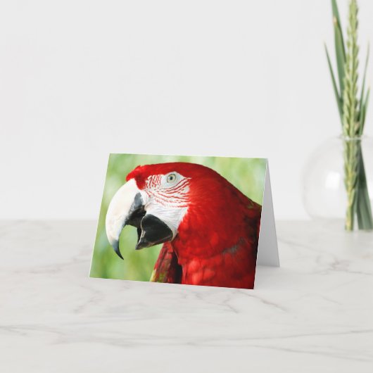 Briljantrood Kaart (Voorkant)