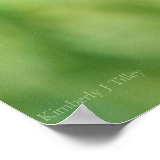 Briljantrood Poster (Hoek)