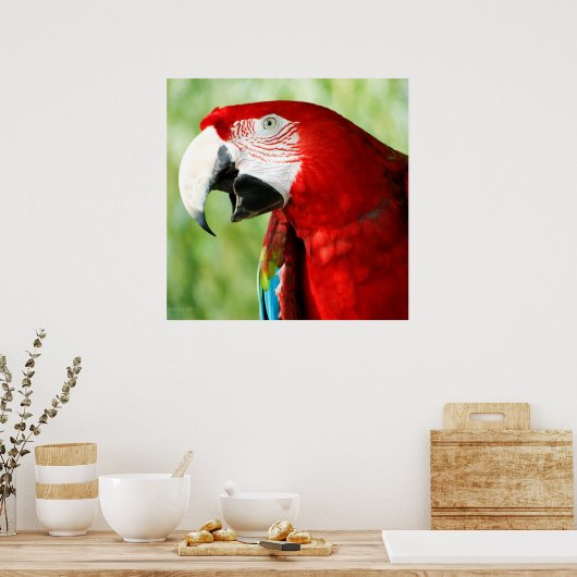 Briljantrood Poster (Keuken)