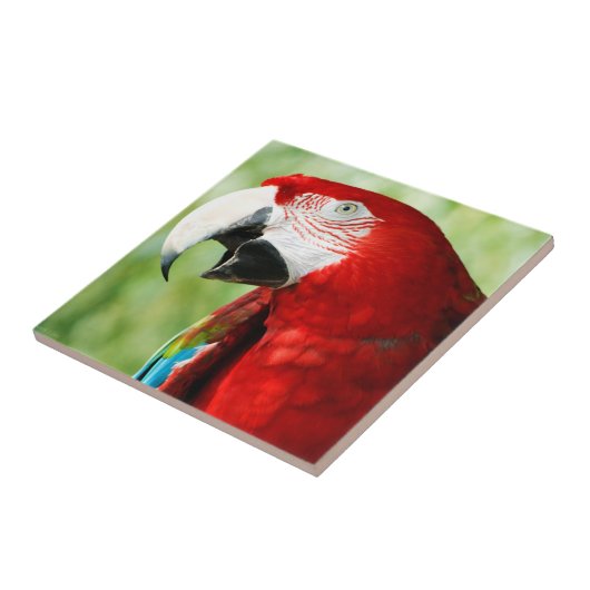 Briljantrood Tegeltje (Zijkant)