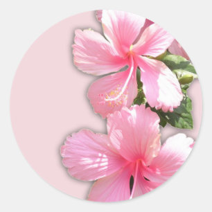 Briljantroze Hawaiian Hibiscus Flowers Ronde Sticker