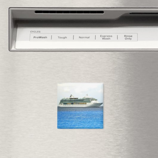 Brille in de Caymans Magneet (Insitu (Vaatwasser))