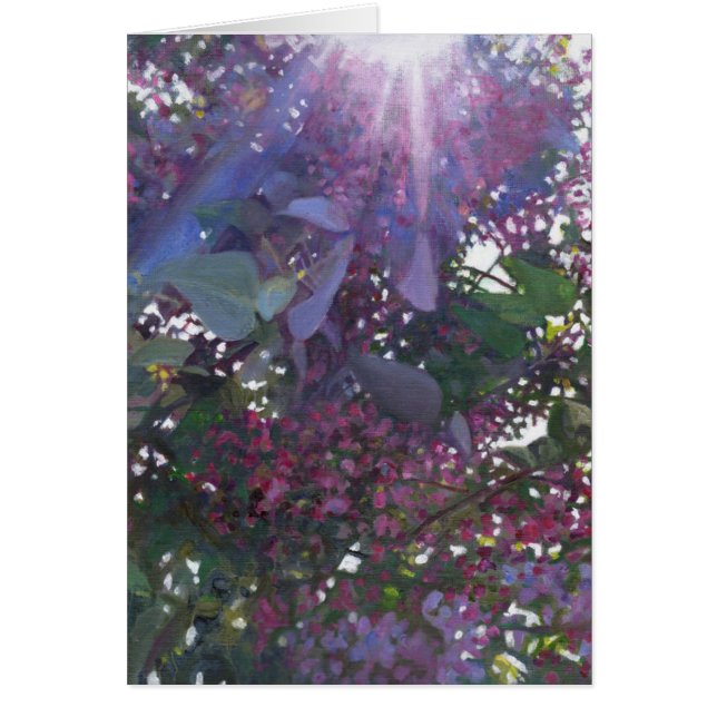 Brilliance 2014 (Voorkant)