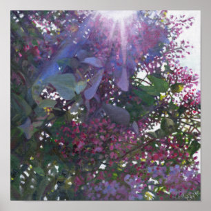 Brilliance 2014 poster