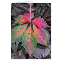 Brilliance between the Grey - Autumn Leaf