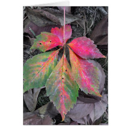 Brilliance between the Grey - Autumn Leaf