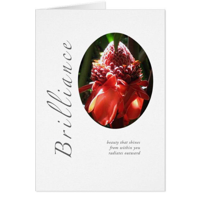 Brilliance Torted Ginger (Voorkant)