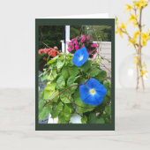 Brilliant Blue Morning Glories Blank  Kaart (Gele Bloem)