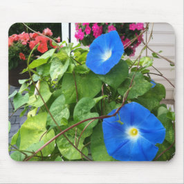 Brilliant Blue Morning Glories Close-up Muismat