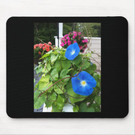 Brilliant Blue Morning Glories Muismat
