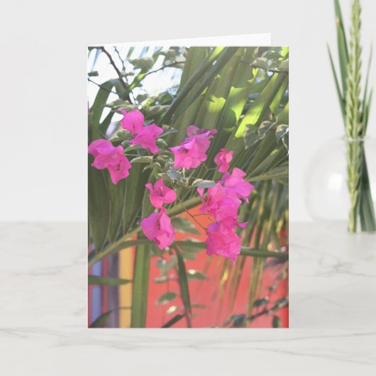 Brilliant Bougainvillea Kaart (Voorkant)