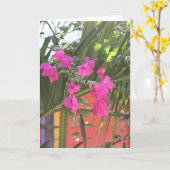 Brilliant Bougainvillea Kaart (Gele Bloem)