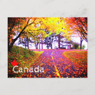 Brilliant Colors Autumn Bike Path Canada Souvenir Briefkaart