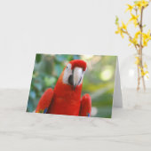 Brilliant Red Parrot Wenskaart Kaart (Gele Bloem)