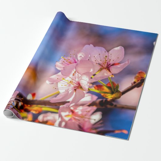 Brilliant Sakura Blossom Cadeaupapier (Uitgerold)