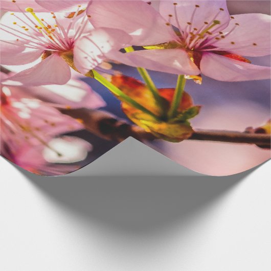 Brilliant Sakura Blossom Cadeaupapier (Hoek)