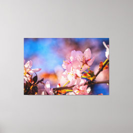 Brilliant Sakura Blossom Canvas Afdruk