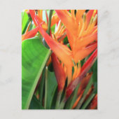 Brilliant Tropical Heliconia Florals Briefkaart (Voorkant)