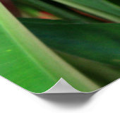 Brilliant Tropical Heliconia Florals Poster (Hoek)