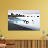 Brilpinguïns Canvas Afdruk (Insitu (Woonkamer))