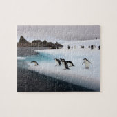 Brilpinguïns Legpuzzel (Horizontaal)