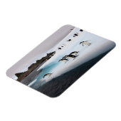 Brilpinguïns Magneet (Linkerzijde)