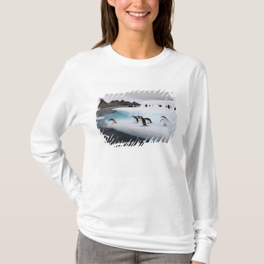 Brilpinguïns T-shirt (Voorkant)