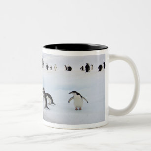 Brilpinguïns Tweekleurige Koffiemok