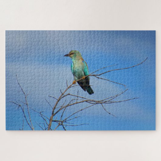 brilvogel legpuzzel (Horizontaal)