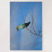 brilvogel legpuzzel (Verticaal)