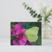 Brimstone Briefkaart (Staand voorkant)