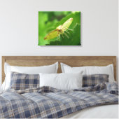 Brimstone Mot Canvasprint Canvas Afdruk (Insitu (Slaapkamer))