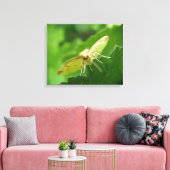 Brimstone Mot Canvasprint Canvas Afdruk (Insitu (Woonkamer))