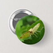 Brimstone Moth Button (Voorkant /achterkant)