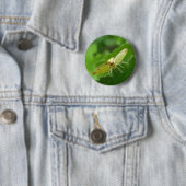 Brimstone Moth Button (In situ)