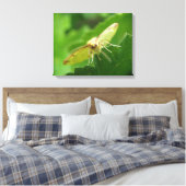 Brimstone Moth Canvas afdrukken (Insitu (Slaapkamer))