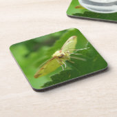 Brimstone Moth Cork Onderzetter (Linkerzijde)