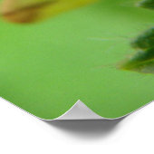 Brimstone Moth Print (Hoek)