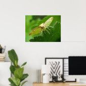 Brimstone Moth Print (Thuiskantoor)